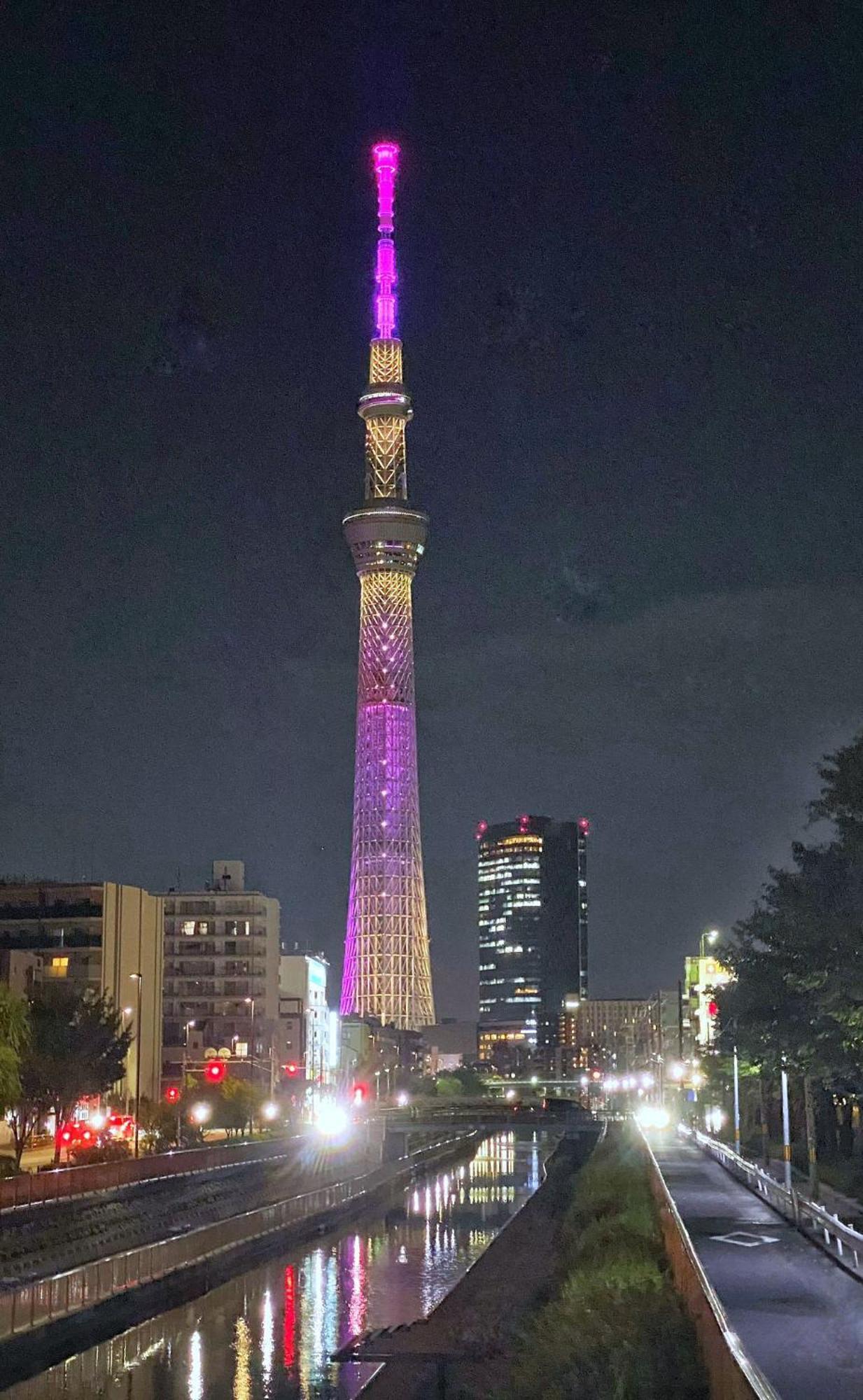 Tokyo Sakura Hotel Dış mekan fotoğraf